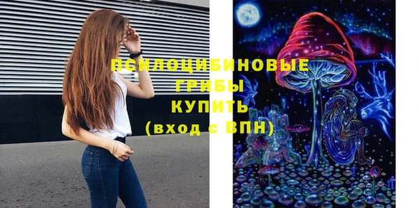 mix Сосновый Бор