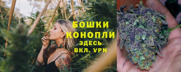 mix Сосновый Бор
