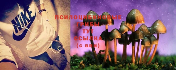 герыч Сосновка