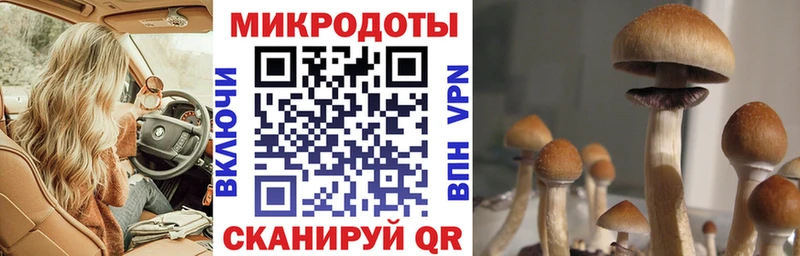 Галлюциногенные грибы прущие грибы Белинский